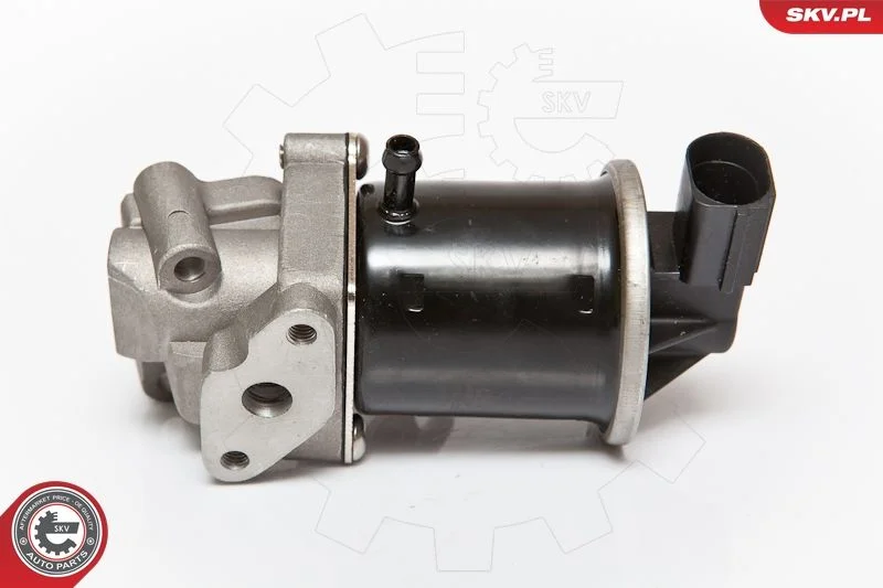 Ventil EGR ESEN SKV 14SKV074