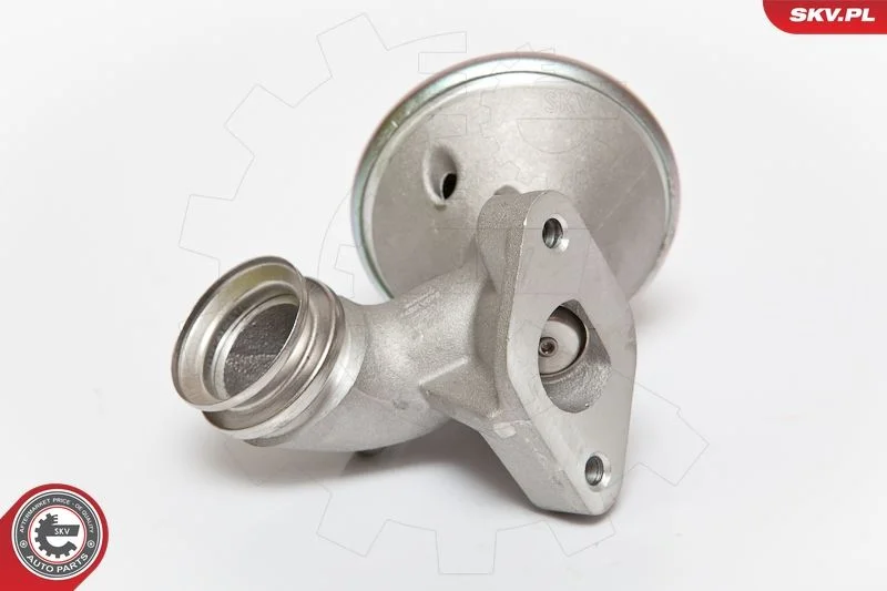 Ventil EGR ESEN SKV 14SKV075