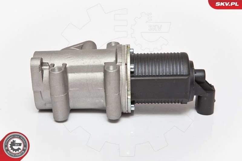 Ventil EGR ESEN SKV 14SKV076
