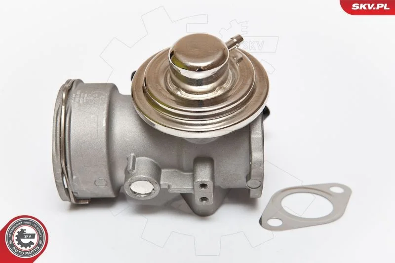 EGR Valve ESEN SKV 14SKV080