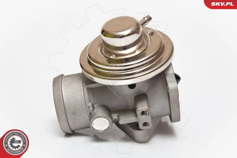 Ventil EGR ESEN SKV 14SKV082