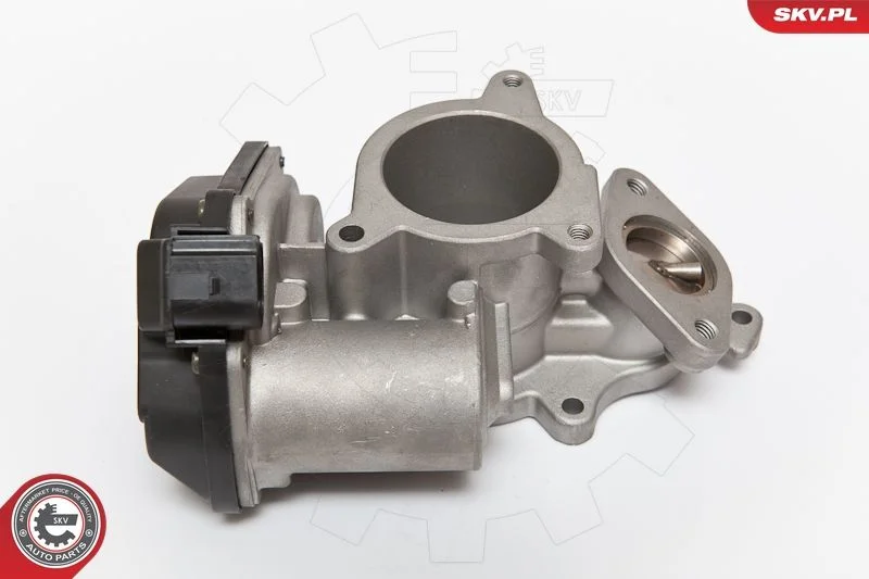 Ventil EGR ESEN SKV 14SKV083