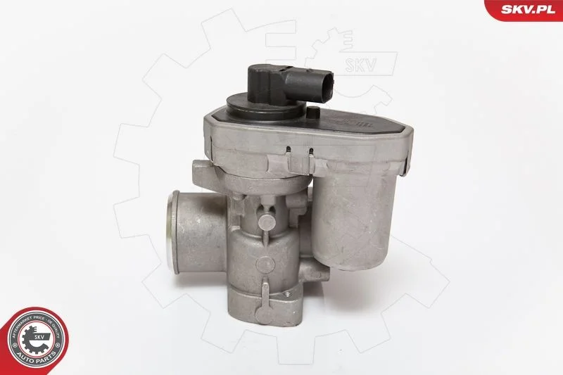 EGR Valve ESEN SKV 14SKV084