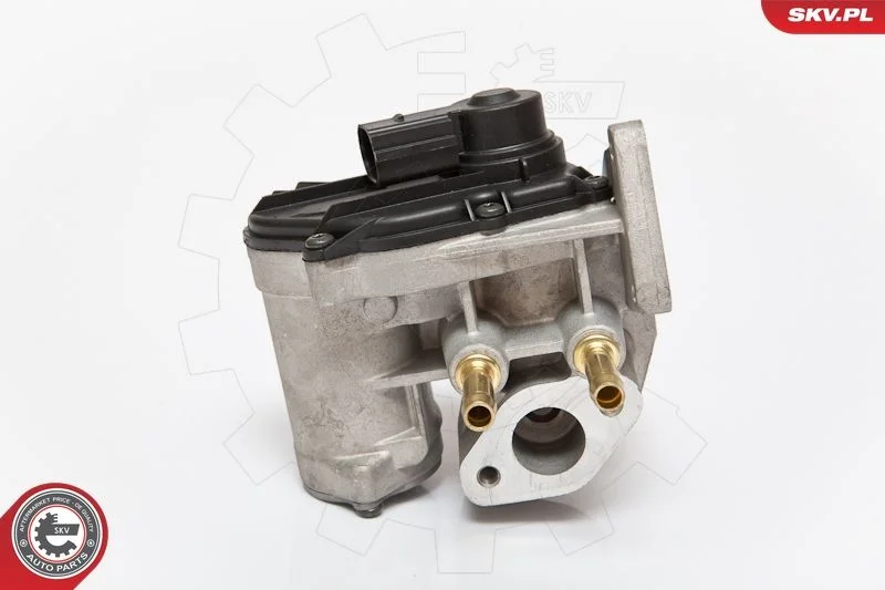 Ventil EGR ESEN SKV 14SKV086