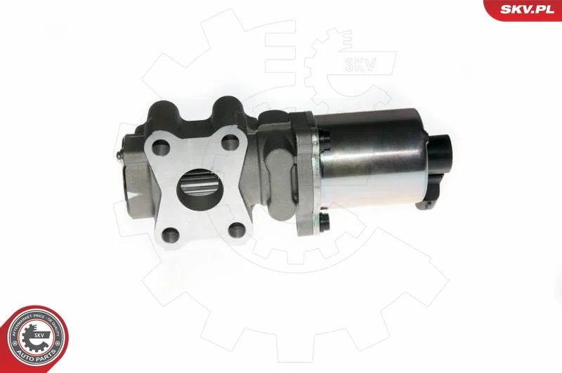 Ventil EGR ESEN SKV 14SKV088