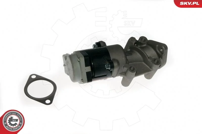 Ventil EGR ESEN SKV 14SKV089