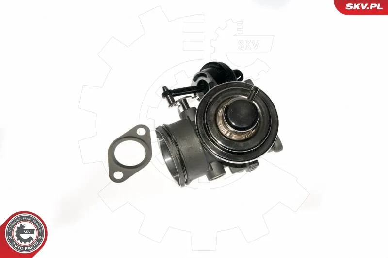 EGR Valve ESEN SKV 14SKV090