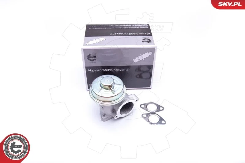 Ventil EGR ESEN SKV 14SKV092