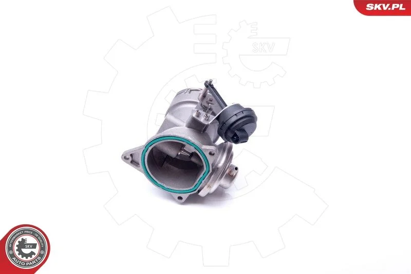 EGR Valve ESEN SKV 14SKV093