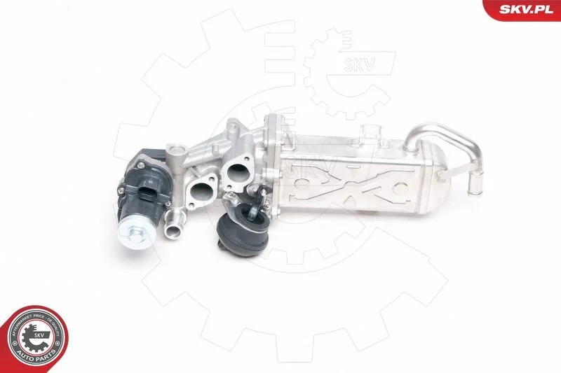 Ventil EGR ESEN SKV 14SKV094