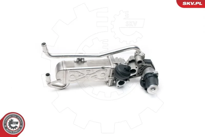 EGR Valve ESEN SKV 14SKV096