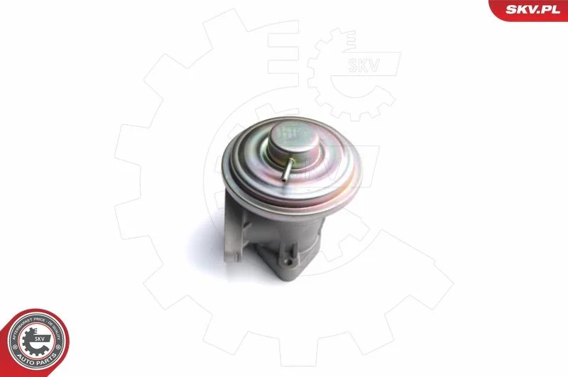 Ventil EGR ESEN SKV 14SKV098