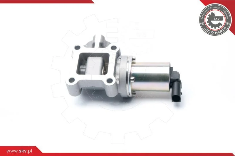 Ventil EGR ESEN SKV 14SKV099