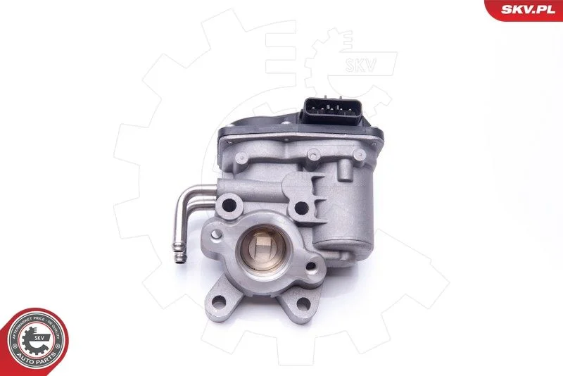 EGR Valve ESEN SKV 14SKV102
