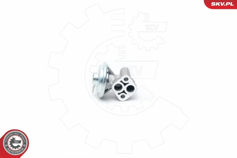 Ventil EGR ESEN SKV 14SKV104
