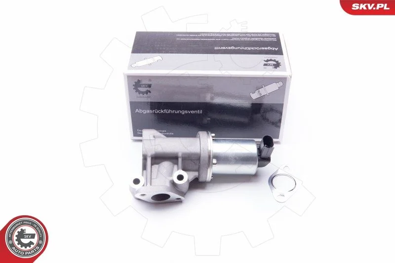 Ventil EGR ESEN SKV 14SKV105