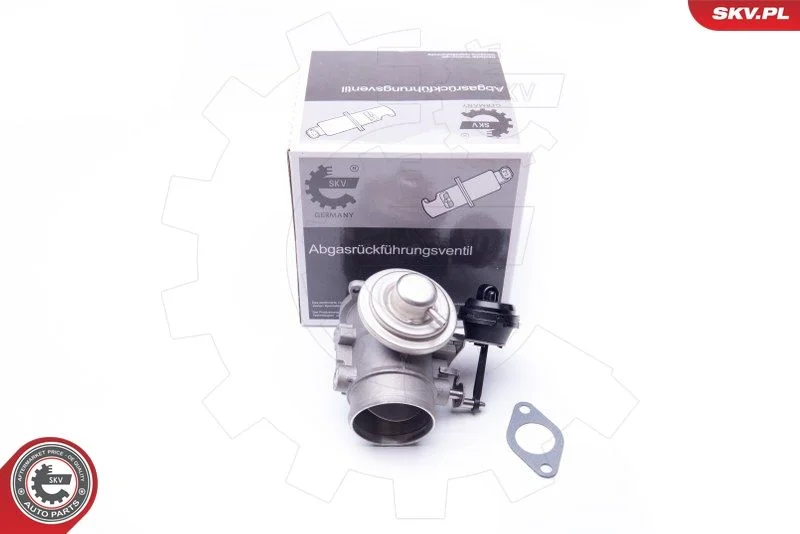 EGR Valve ESEN SKV 14SKV106