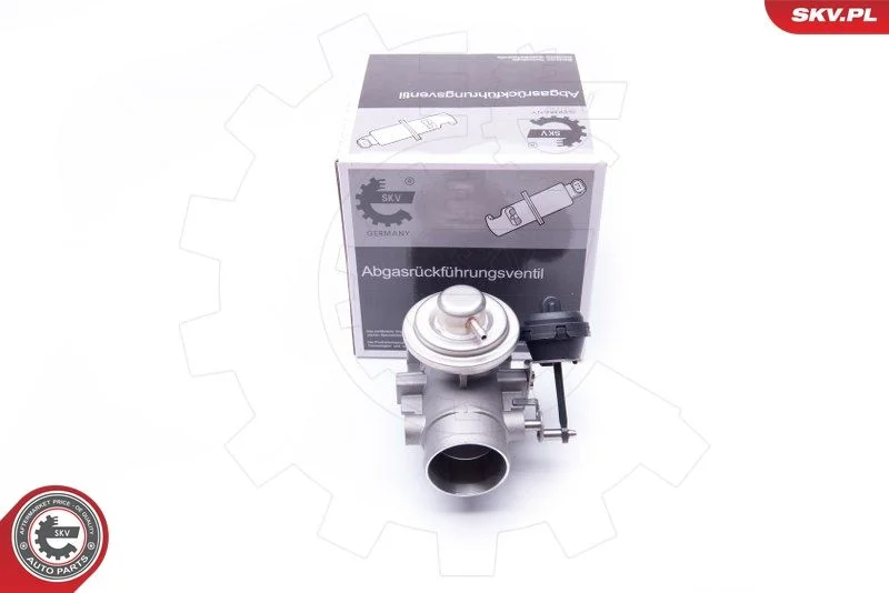 EGR Valve ESEN SKV 14SKV107