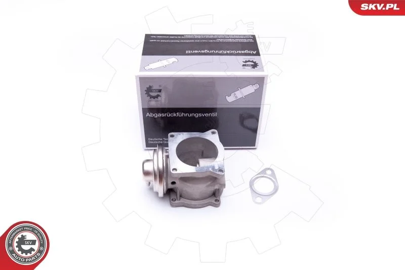 EGR Valve ESEN SKV 14SKV108