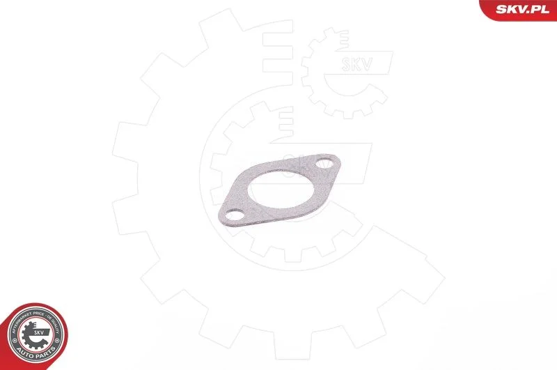 Tesnilo, EGR ventil ESEN SKV 14SKV110