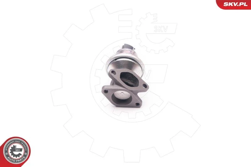 Ventil EGR ESEN SKV 14SKV129