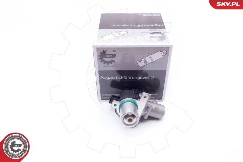 Ventil EGR ESEN SKV 14SKV163
