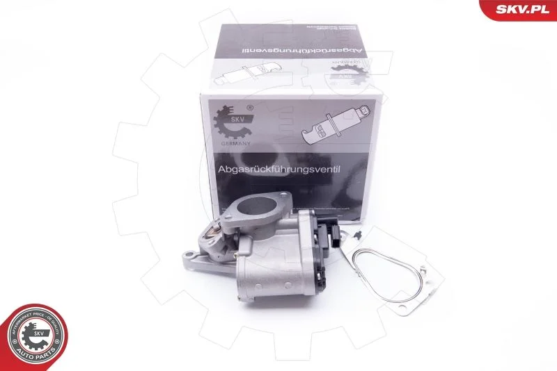 EGR Valve ESEN SKV 14SKV165