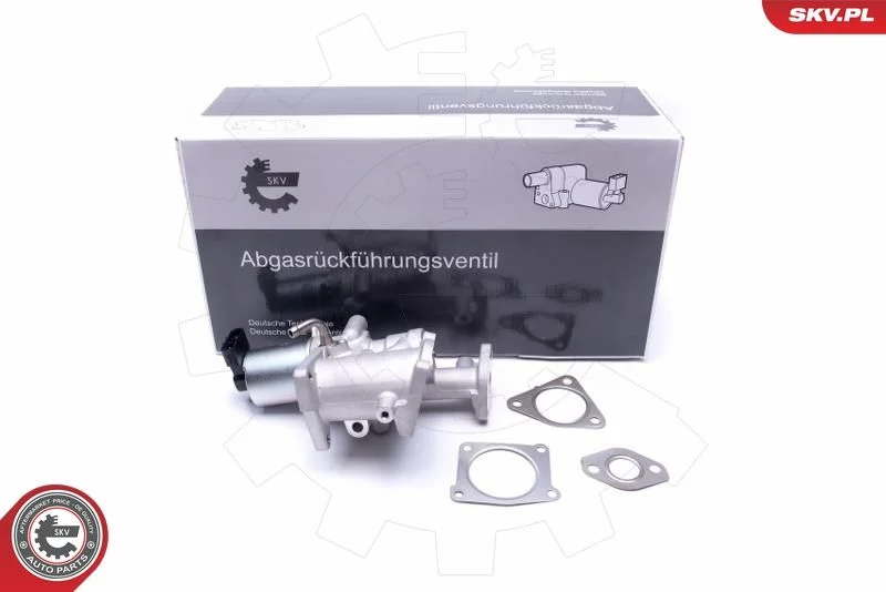 Ventil EGR ESEN SKV 14SKV167