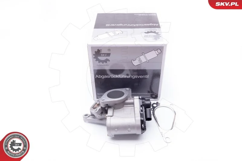 Ventil EGR ESEN SKV 14SKV168