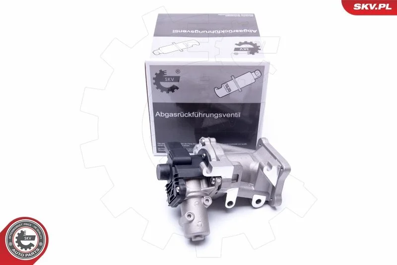 Ventil EGR ESEN SKV 14SKV171