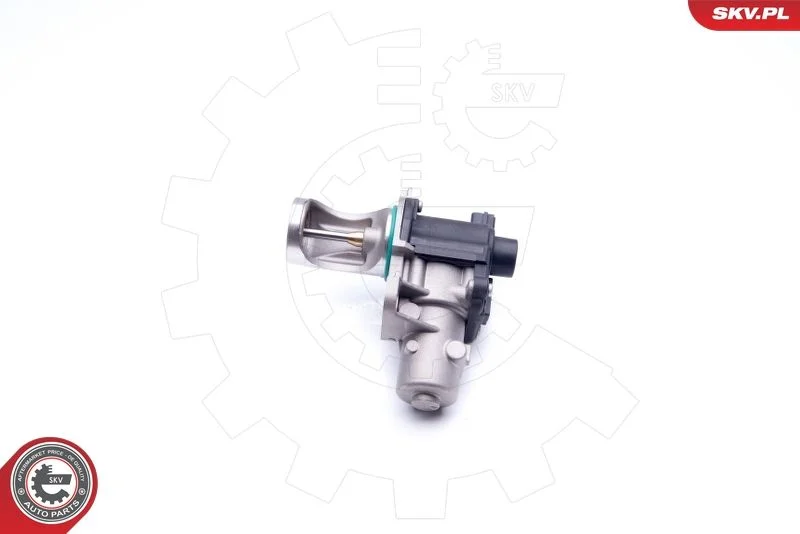 Ventil EGR ESEN SKV 14SKV172