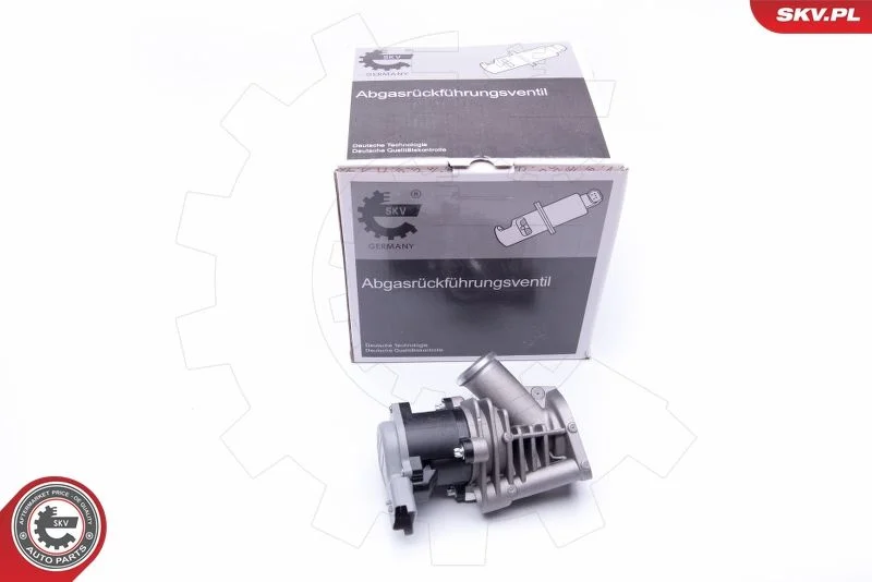 Ventil EGR ESEN SKV 14SKV173