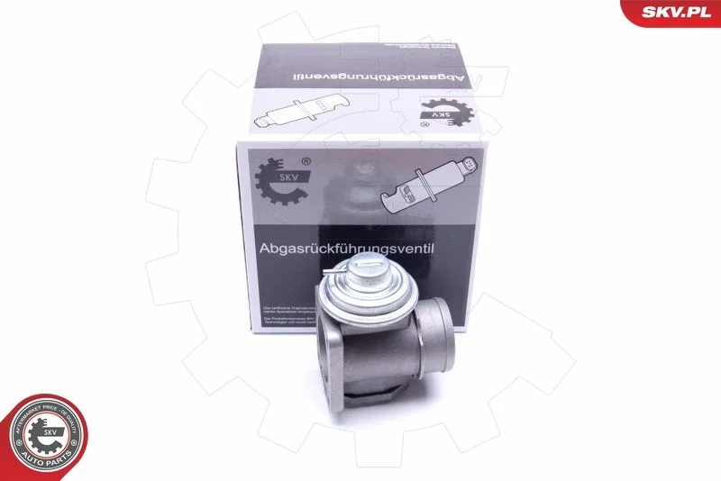 Ventil EGR ESEN SKV 14SKV174