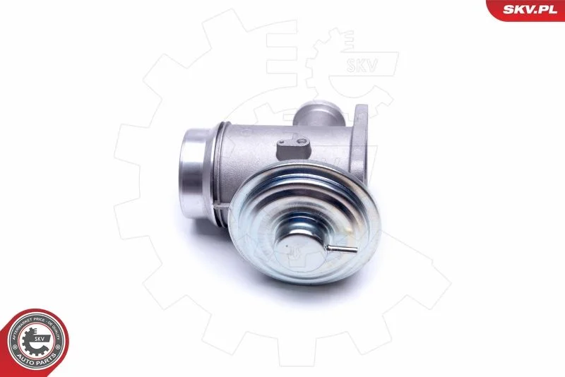 Ventil EGR ESEN SKV 14SKV176