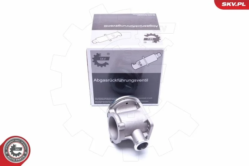 Ventil EGR ESEN SKV 14SKV177