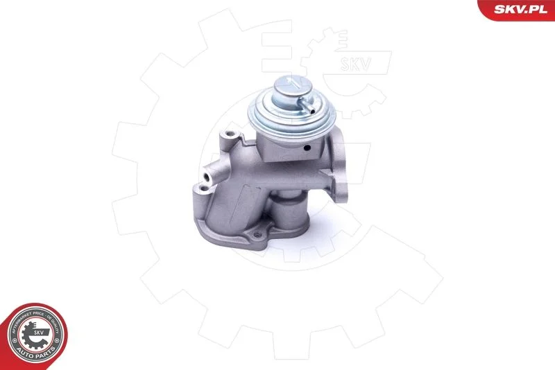 EGR Valve ESEN SKV 14SKV180