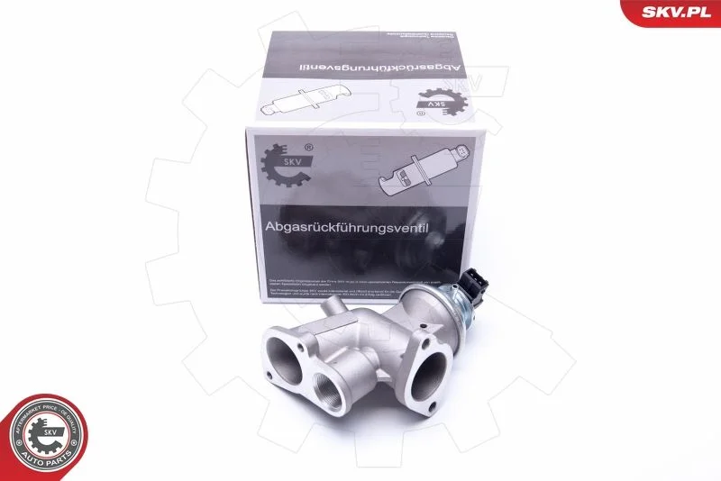 Ventil EGR ESEN SKV 14SKV181