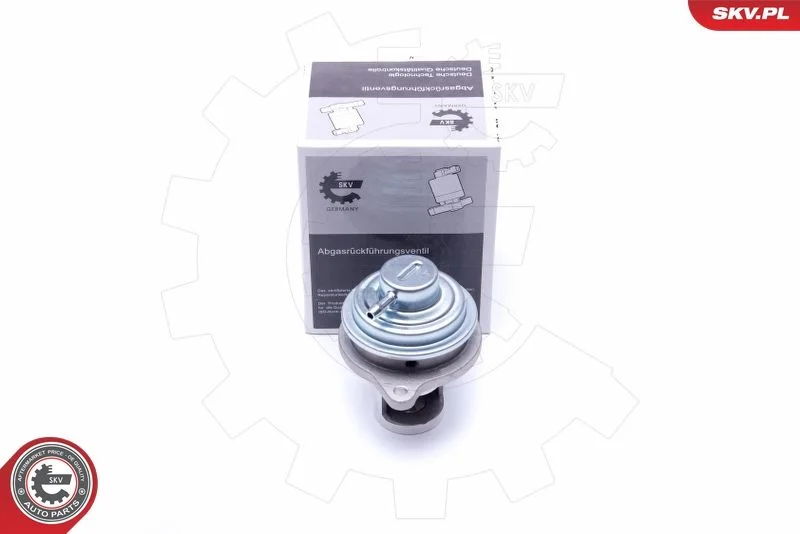 Ventil EGR ESEN SKV 14SKV182