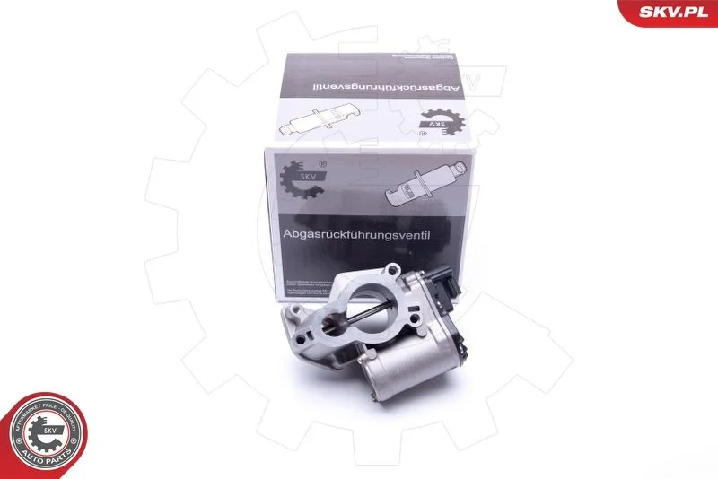 Ventil EGR ESEN SKV 14SKV184