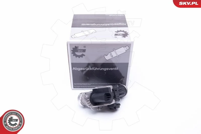 Ventil EGR ESEN SKV 14SKV185