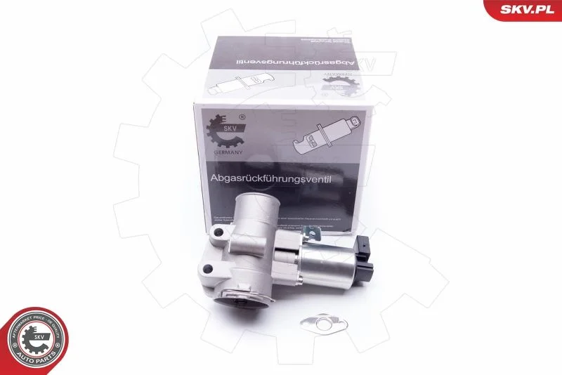 Ventil EGR ESEN SKV 14SKV186