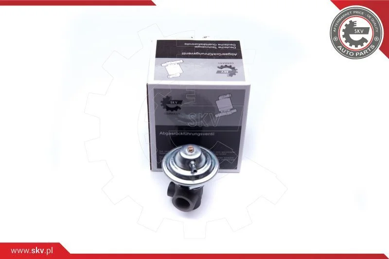 Ventil EGR ESEN SKV 14SKV187