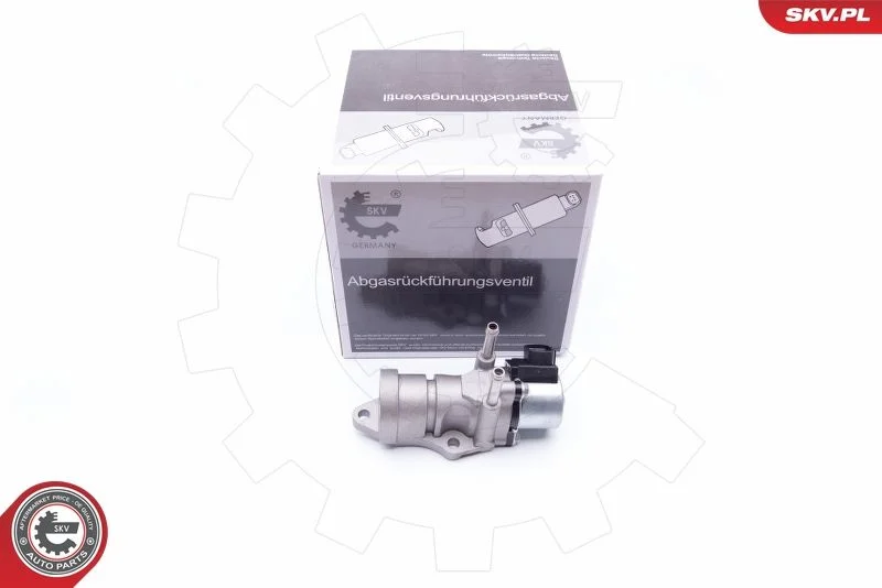 Ventil EGR ESEN SKV 14SKV188