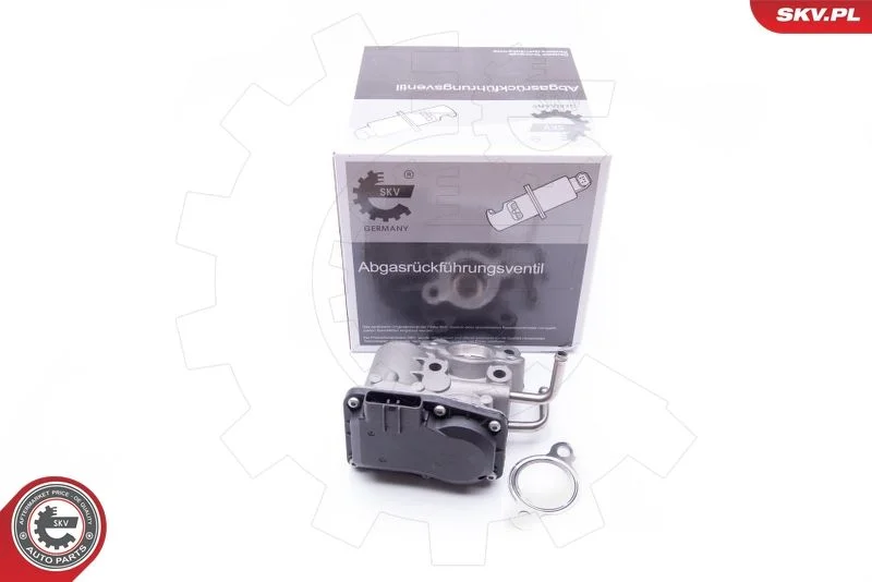 Ventil EGR ESEN SKV 14SKV189