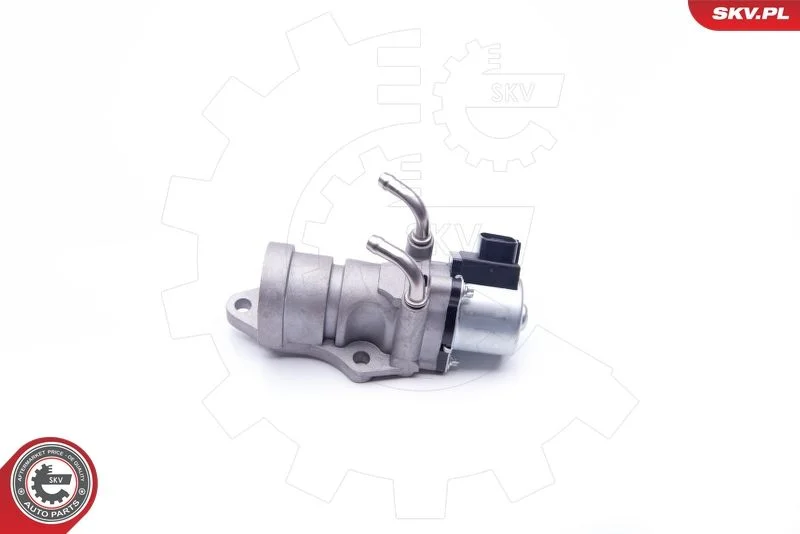 Ventil EGR ESEN SKV 14SKV190