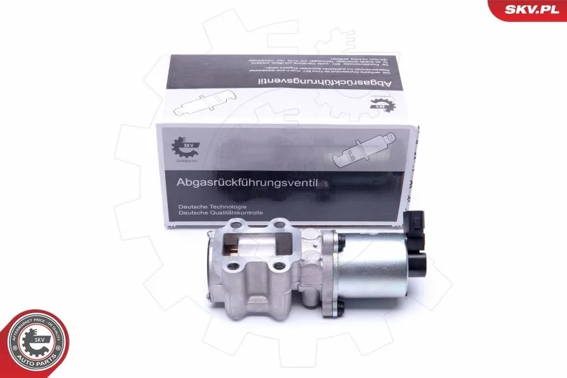 Ventil EGR ESEN SKV 14SKV200