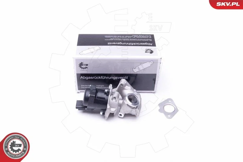Ventil EGR ESEN SKV 14SKV202