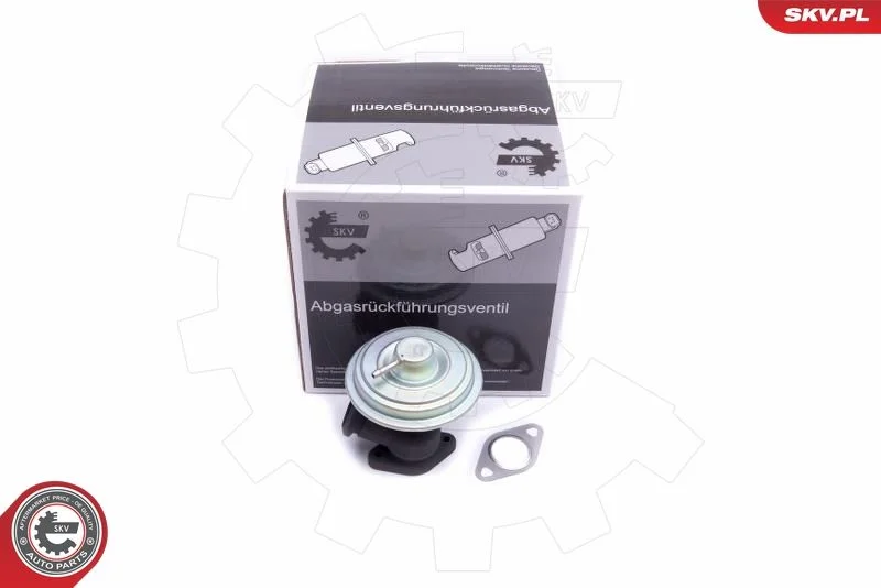 EGR Valve ESEN SKV 14SKV203