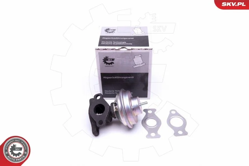 Ventil EGR ESEN SKV 14SKV204