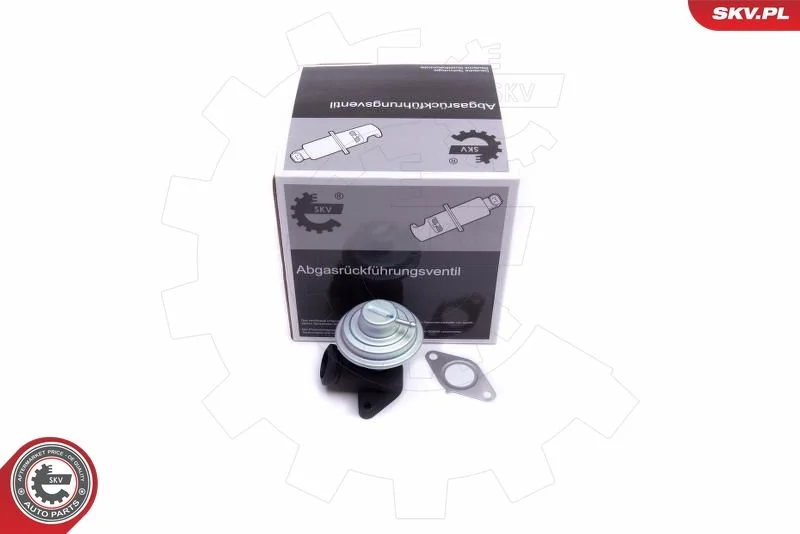 Ventil EGR ESEN SKV 14SKV205